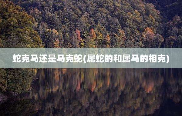 蛇克马还是马克蛇(属蛇的和属马的相克)