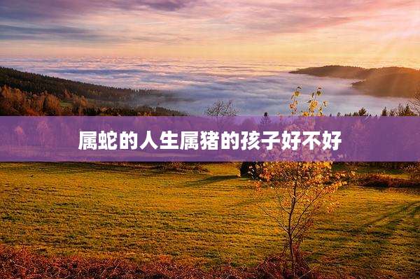 属蛇的人生属猪的孩子好不好