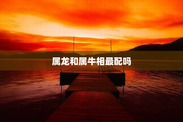 属龙和属牛相最配吗