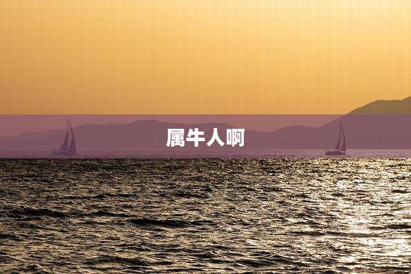 属牛人啊