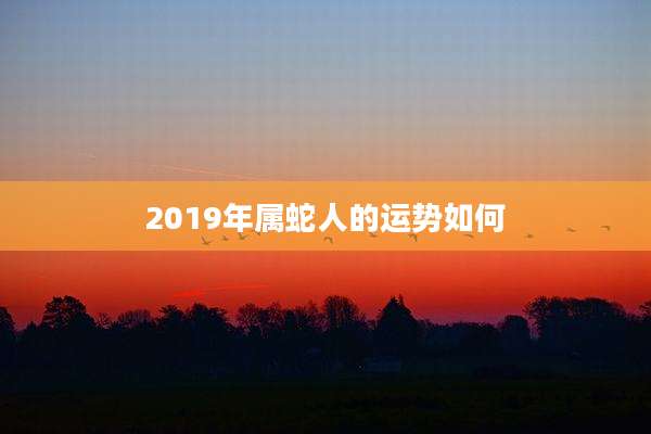 2019年属蛇人的运势如何