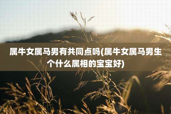 属牛女属马男有共同点吗(属牛女属马男生个什么属相的宝宝好)