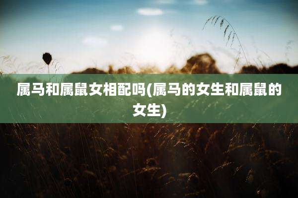 属马和属鼠女相配吗(属马的女生和属鼠的女生)