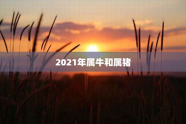 2021年属牛和属猪