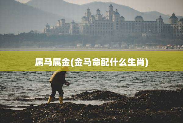 属马属金(金马命配什么生肖)