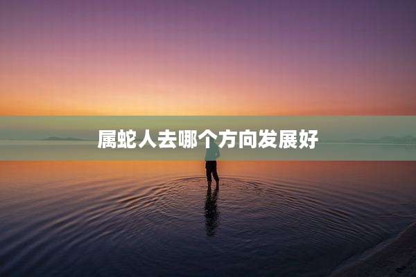属蛇人去哪个方向发展好