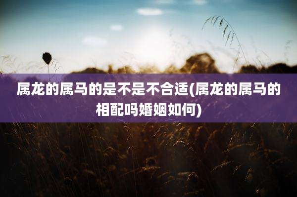 属龙的属马的是不是不合适(属龙的属马的相配吗婚姻如何)