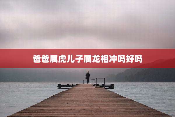 爸爸属虎儿子属龙相冲吗好吗