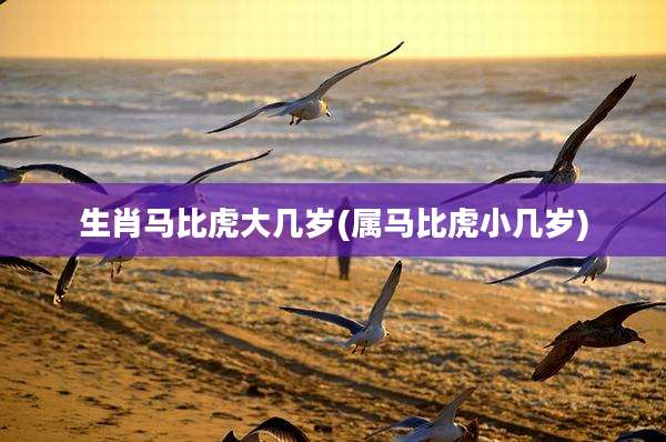 生肖马比虎大几岁(属马比虎小几岁)