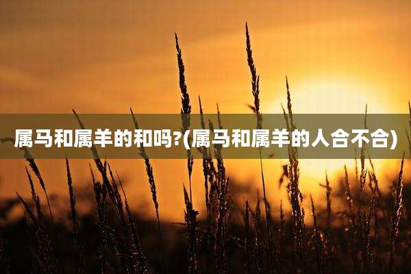 属马和属羊的和吗?(属马和属羊的人合不合)