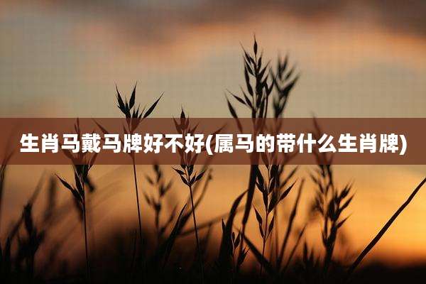 生肖马戴马牌好不好(属马的带什么生肖牌)