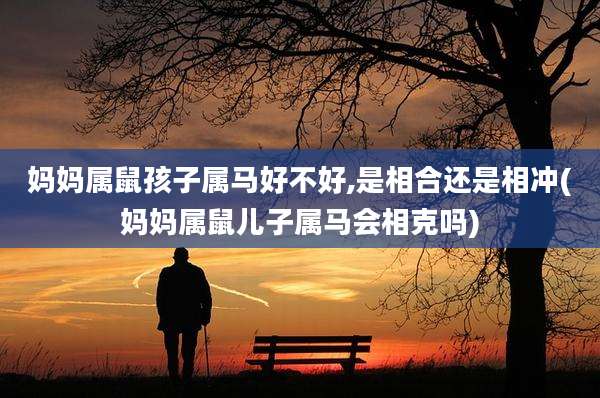 妈妈属鼠孩子属马好不好,是相合还是相冲(妈妈属鼠儿子属马会相克吗)
