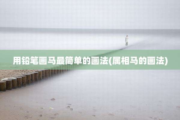 用铅笔画马最简单的画法(属相马的画法)