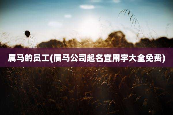 属马的员工(属马公司起名宜用字大全免费)