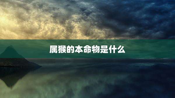 属猴的本命物是什么