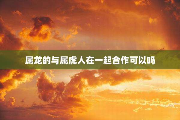 属龙的与属虎人在一起合作可以吗