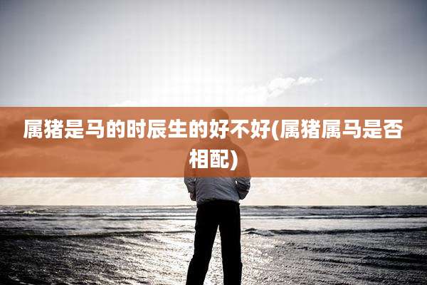 属猪是马的时辰生的好不好(属猪属马是否相配)