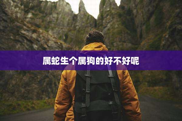 属蛇生个属狗的好不好呢