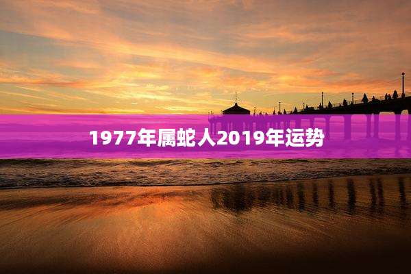 1977年属蛇人2019年运势