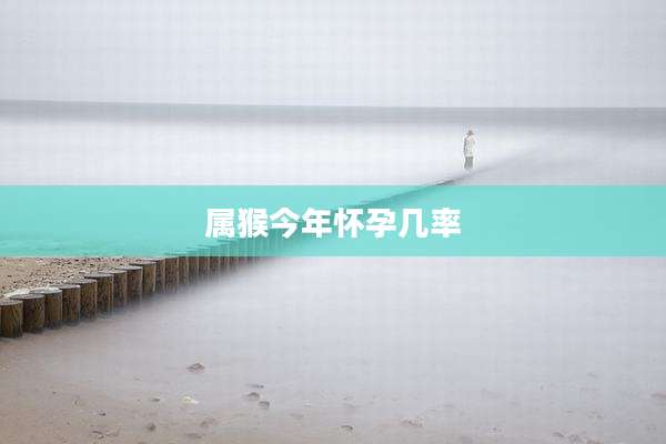 属猴今年怀孕几率