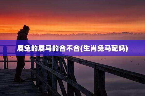 属兔的属马的合不合(生肖兔马配吗)