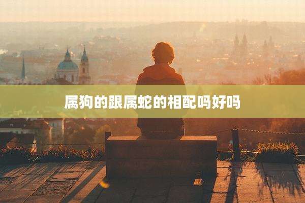 属狗的跟属蛇的相配吗好吗