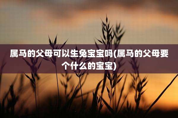 属马的父母可以生兔宝宝吗(属马的父母要个什么的宝宝)