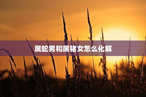 属蛇男和属猪女怎么化解