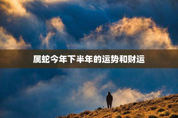 属蛇今年下半年的运势和财运