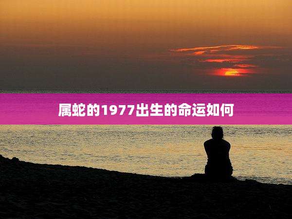 属蛇的1977出生的命运如何