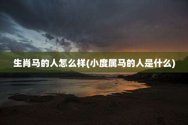 生肖马的人怎么样(小度属马的人是什么)