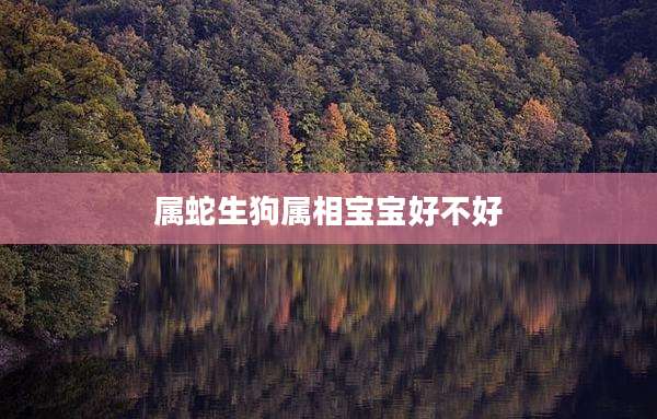 属蛇生狗属相宝宝好不好