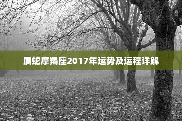 属蛇摩羯座2017年运势及运程详解