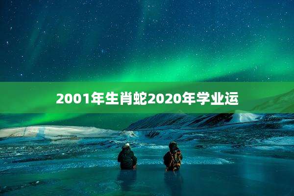 2001年生肖蛇2020年学业运
