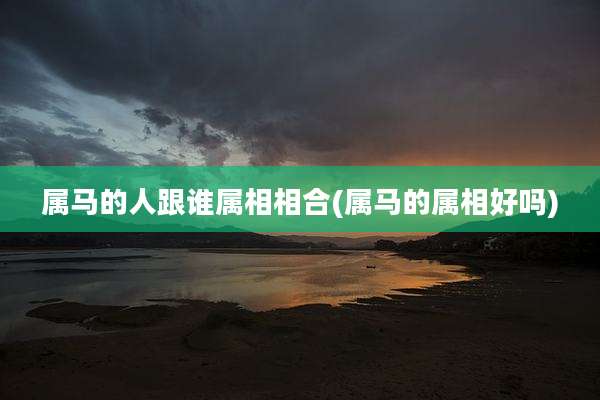 属马的人跟谁属相相合(属马的属相好吗)