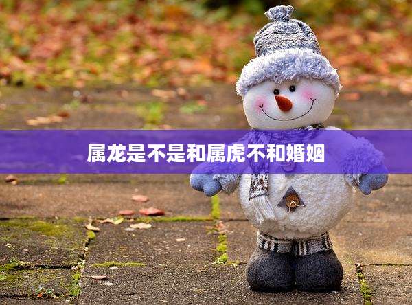 属龙是不是和属虎不和婚姻