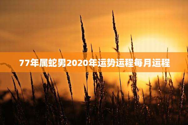 77年属蛇男2020年运势运程每月运程