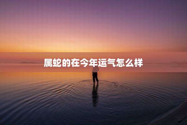 属蛇的在今年运气怎么样