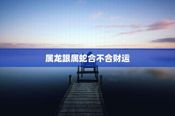 属龙跟属蛇合不合财运