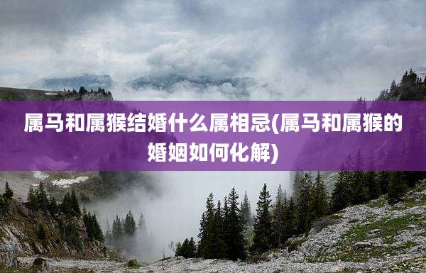 属马和属猴结婚什么属相忌(属马和属猴的婚姻如何化解)