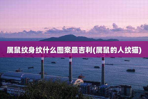 属鼠纹身纹什么图案最吉利(属鼠的人纹猫)