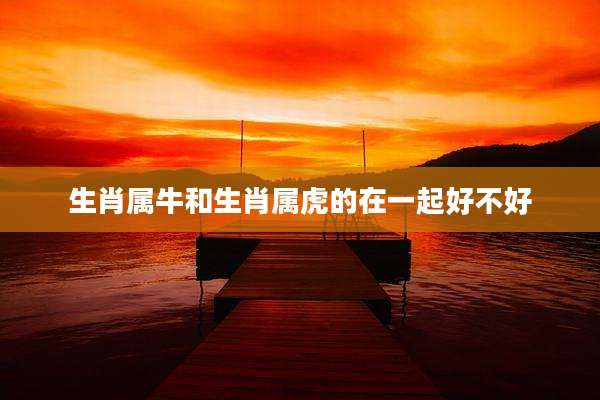 生肖属牛和生肖属虎的在一起好不好