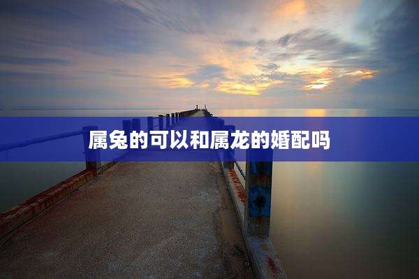 属兔的可以和属龙的婚配吗