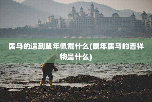 属马的遇到鼠年佩戴什么(鼠年属马的吉祥物是什么)