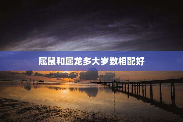 属鼠和属龙多大岁数相配好