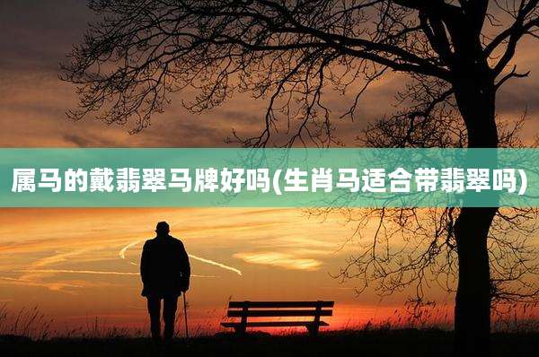 属马的戴翡翠马牌好吗(生肖马适合带翡翠吗)