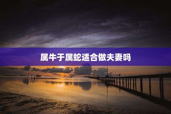 属牛于属蛇适合做夫妻吗