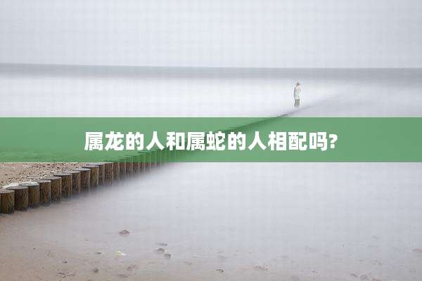 属龙的人和属蛇的人相配吗?