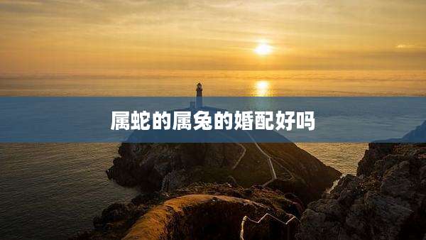 属蛇的属兔的婚配好吗