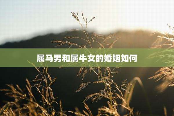 属马男和属牛女的婚姻如何